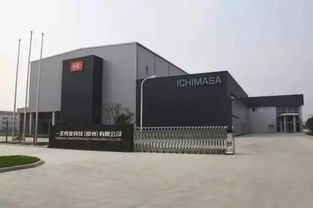 驚 常州培育出日本 宮廷國(guó)寶 ,人稱(chēng) 抗癌奇葩 居然比靈芝還要珍貴