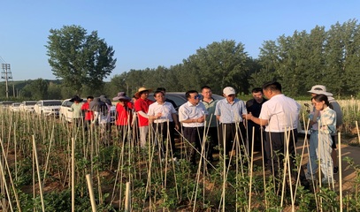 河南省果蔬產(chǎn)業(yè)科技特派員服務(wù)團(睢縣)調(diào)研洛寧蘋果產(chǎn)業(yè)并開展科技服務(wù)