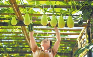 圖片新聞 四川日報(bào)