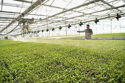 以服務(wù)之長,補(bǔ)農(nóng)業(yè)之短!