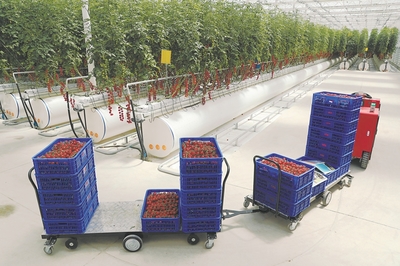 【大國(guó)糧策】科技賦能喜耕田