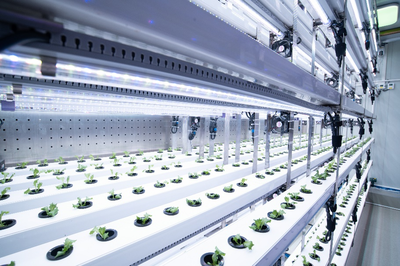 拼多多發(fā)布Q3財(cái)報(bào),全面加速高質(zhì)量發(fā)展,繼續(xù)加碼農(nóng)研科技