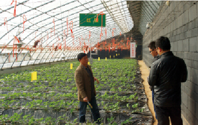 楊凌:中國農(nóng)業(yè)標(biāo)準(zhǔn)化的樣板