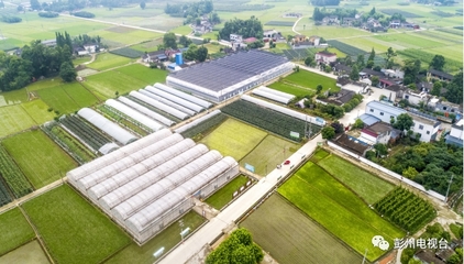 彭州農(nóng)業(yè)又獲得國家級(jí)創(chuàng)建名單!