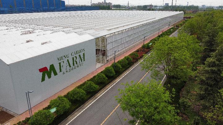 奮進(jìn)新征程 建功新時(shí)代&middot;老區(qū)新貌丨太行山革命老區(qū):&ldquo;紅綠交織&rdquo;繪就太行新畫卷