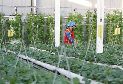 黨員服務隊員們上門走訪。閆蓓供圖