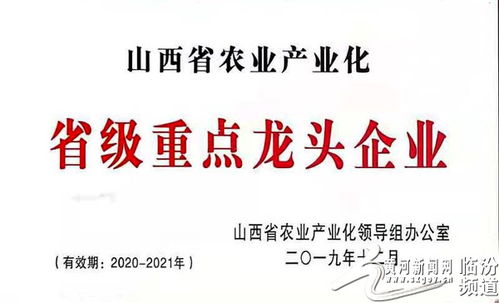 襄汾農(nóng)特產(chǎn) 蓓鮮農(nóng)業(yè)科技公司 主產(chǎn)杏鮑菇