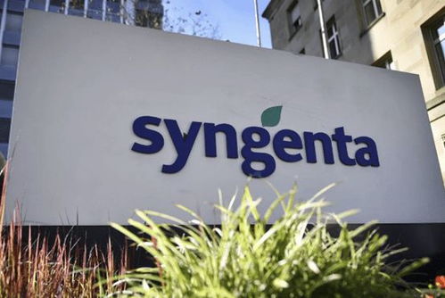 全球最大農產品巨頭將在上?？苿摪迳鲜?總部位于瑞士