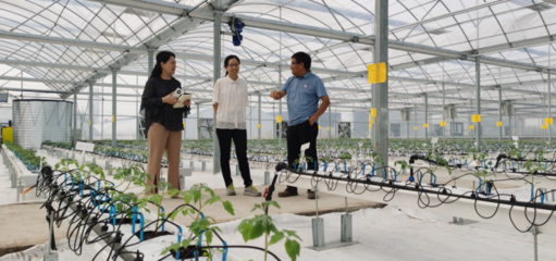 河南省科技支撐鄉(xiāng)村振興工作網(wǎng) 農(nóng)業(yè)科技服務(wù)賦能鄉(xiāng)村發(fā)展